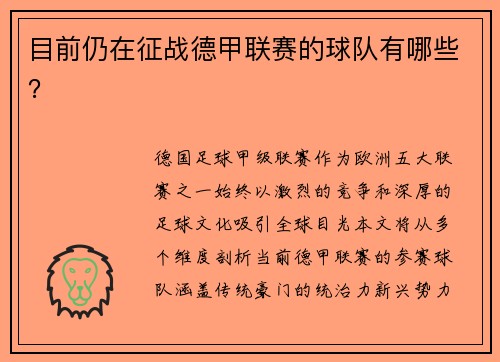 目前仍在征战德甲联赛的球队有哪些？